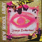 [IMAGE: Album Cover - Strange Brotherhood]